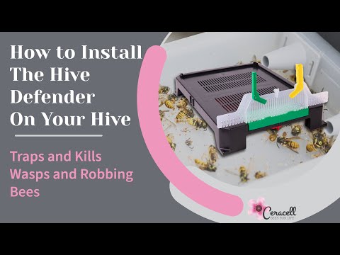 Bee Bottom Ceracell Hive Defender Bottom Board, 8-Frame | BBC — Blythewood Bee Company