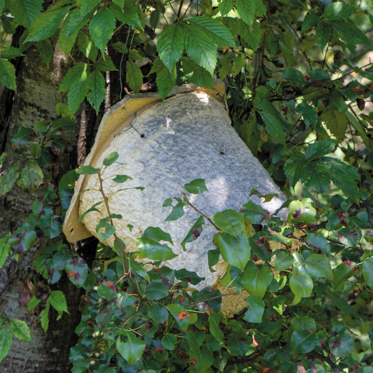 Wood Pulp Honeybee Swarm Trap