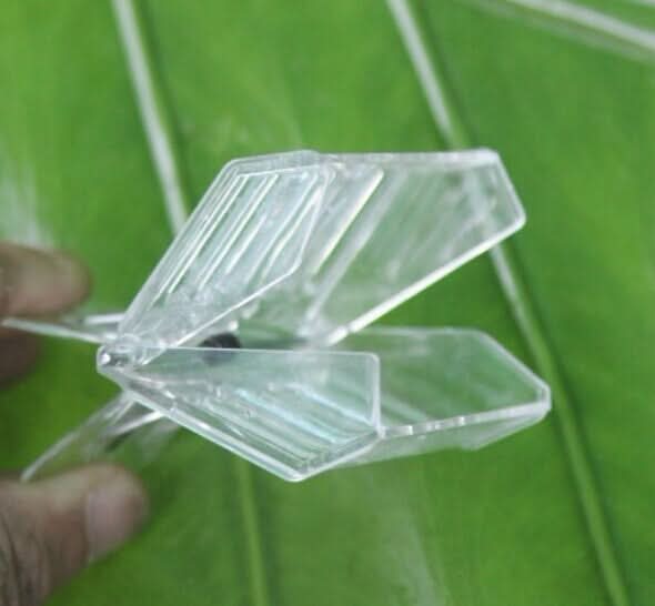 Clear plastic queen clip with slotted breathable sides